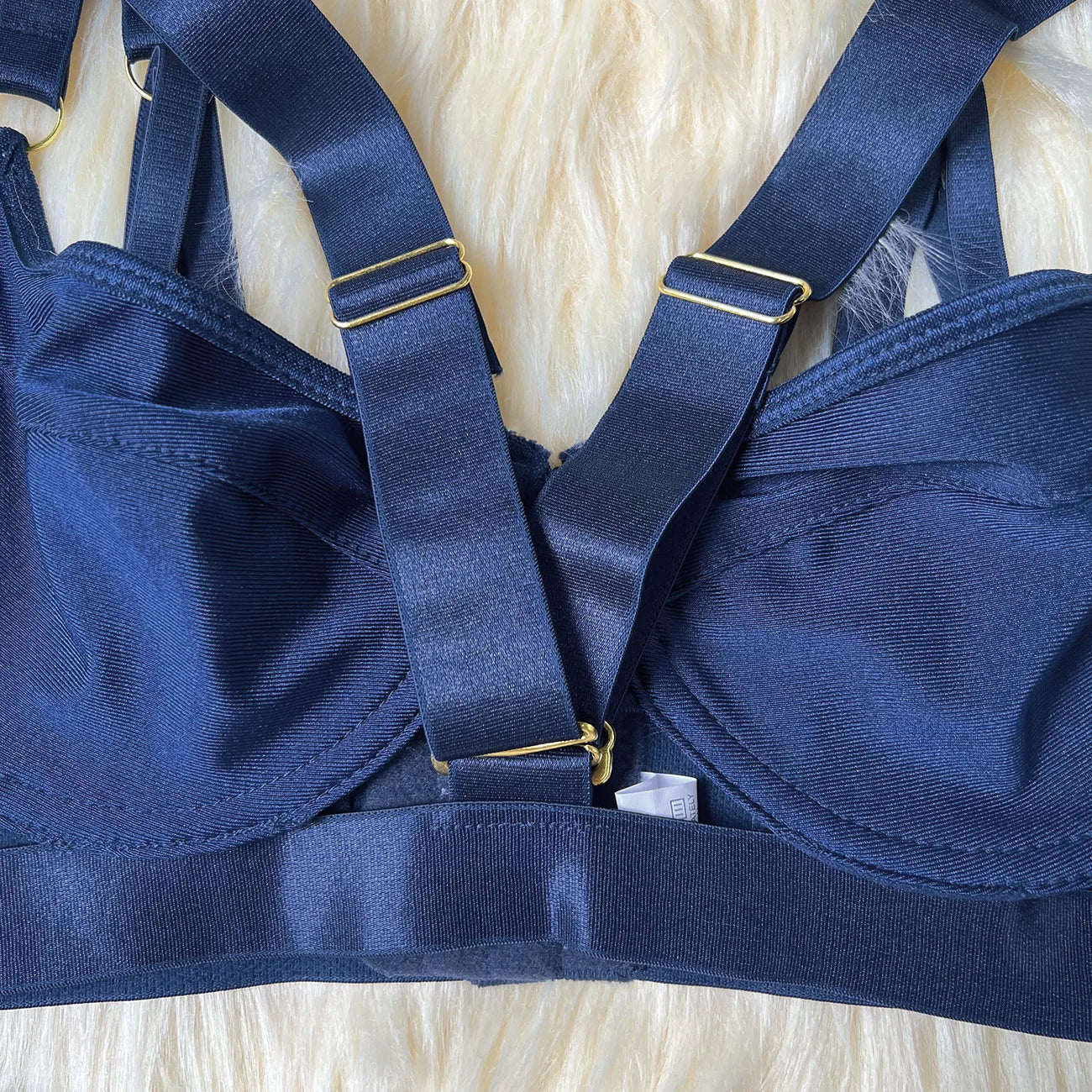 Navy Blue Sheer Lingerie Set with Panties and Push Up Bra