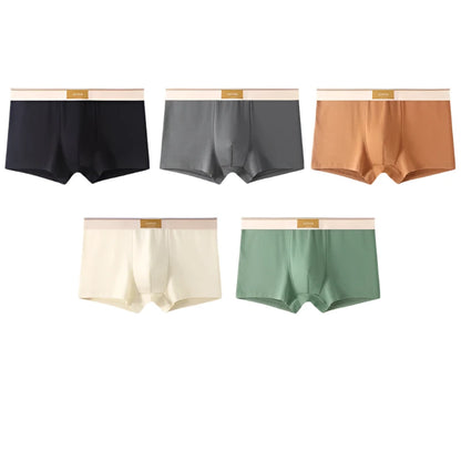 Pack de 5 Boxer Shorts para Hombre 100 Por Ciento Algodón Tallas L a 4XL